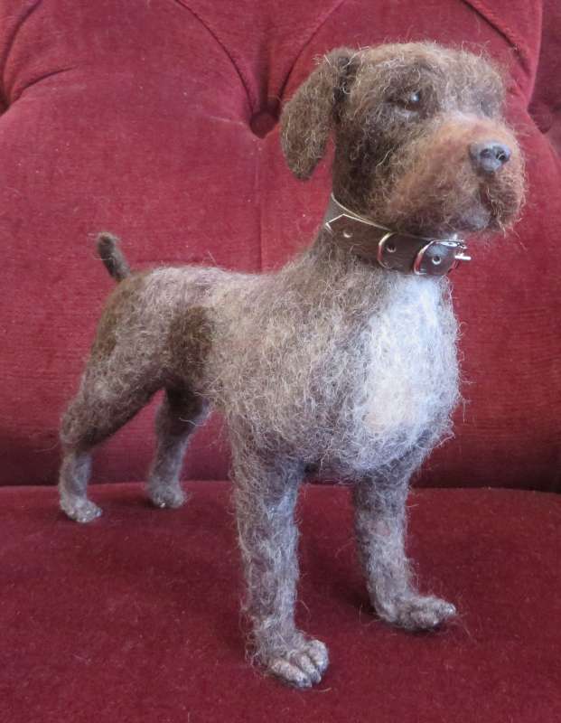 Wire Haired Pointer